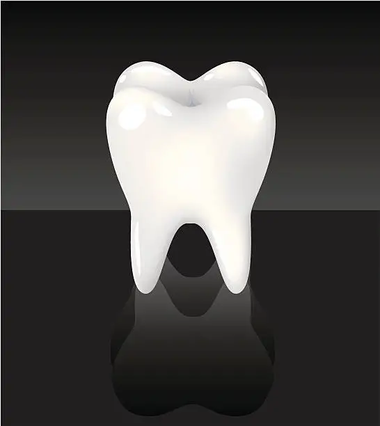 Vector illustration of white tooth on black