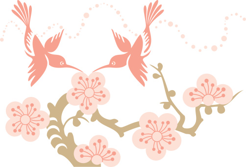 Vector Illustration of two humming birds couple and cherry blossom flowers.