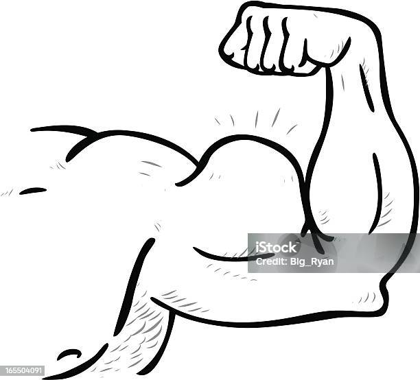 Muskeln Arm Stock Vektor Art und mehr Bilder von Anaerobes Training - Anaerobes Training, Bodybuilding, Comic - Kunstwerk