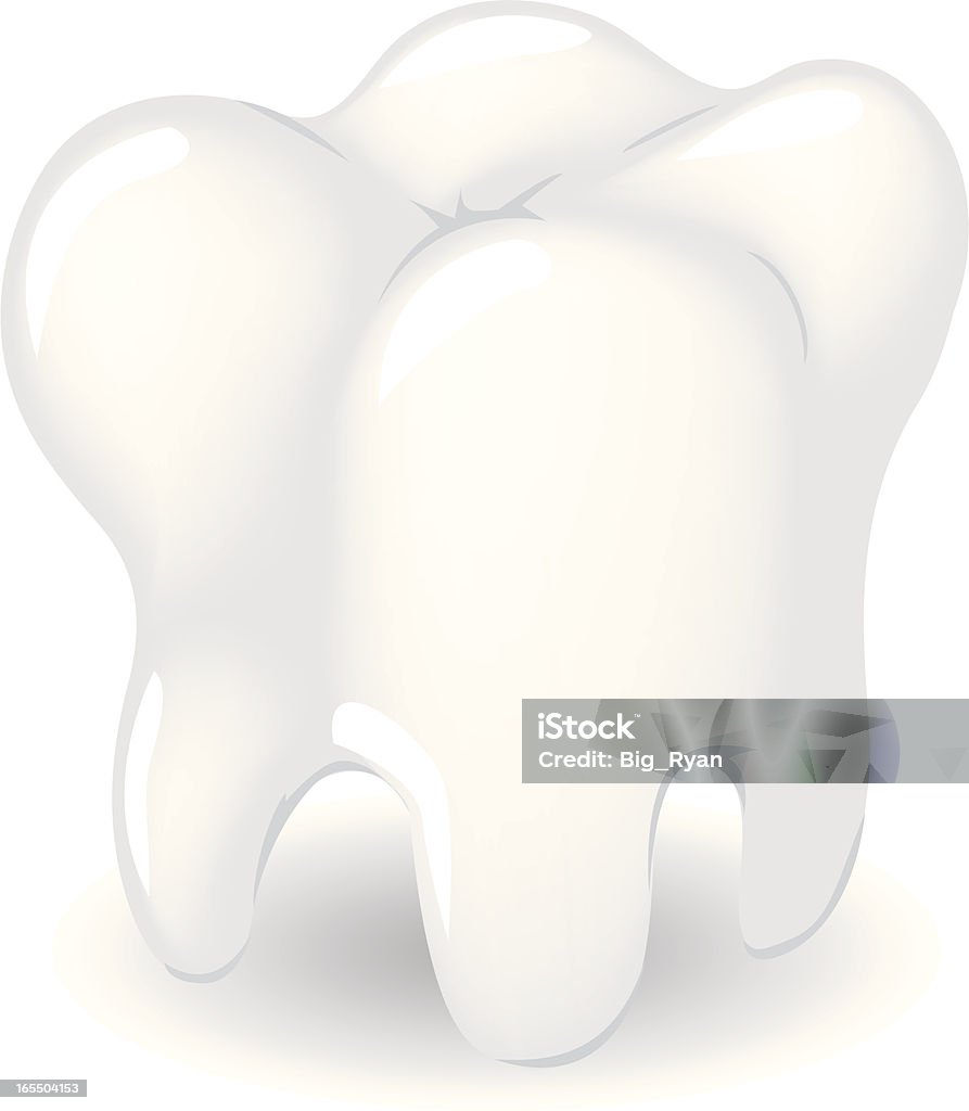 Grad Tooth Vector Gradient Tooth Stock Illustration - Download Image Now - Beauty, Dental ...