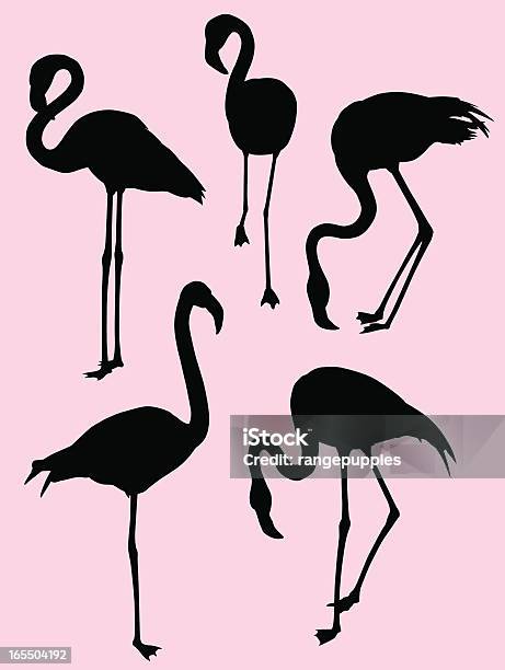 Flamingo 실루엣 마이애미에 대한 스톡 벡터 아트 및 기타 이미지 - 마이애미, 홍학, 실루엣