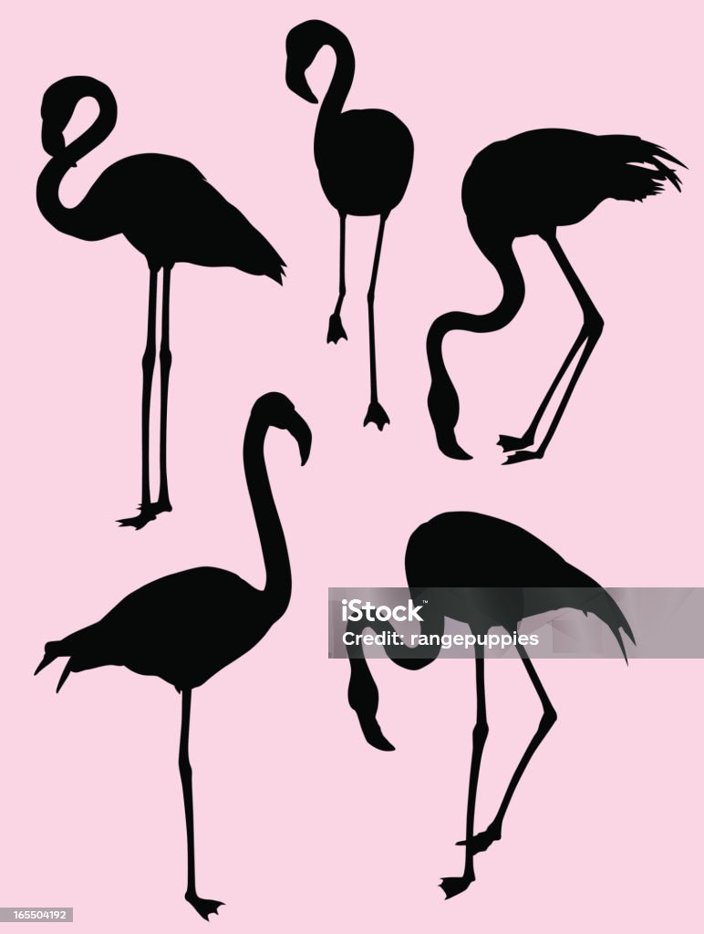 Flamingo krojów - Grafika wektorowa royalty-free (Miami)