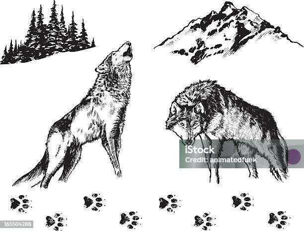 ウルフグラフィック要素 - オオカミのベクターアート素材や画像を多数ご用意 - オオカミ, イラストレーション, 遠吠え