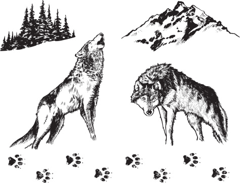 Wolf - Graphic Elements