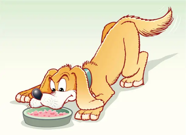 Vector illustration of Dog eating