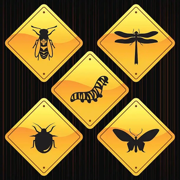 Vector illustration of Yellow Signs - Insects