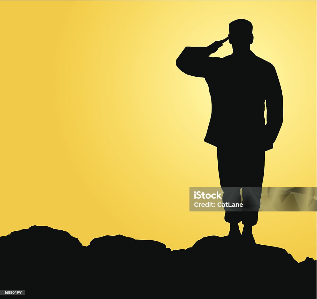 Military Salute US Airman saluting in the sunset. Armed Forces stock vector