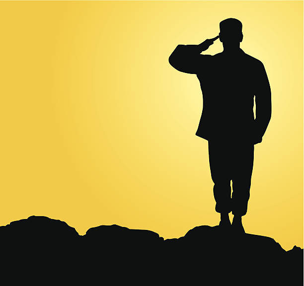 Military Salute US Airman saluting in the sunset. soldier stock illustrations