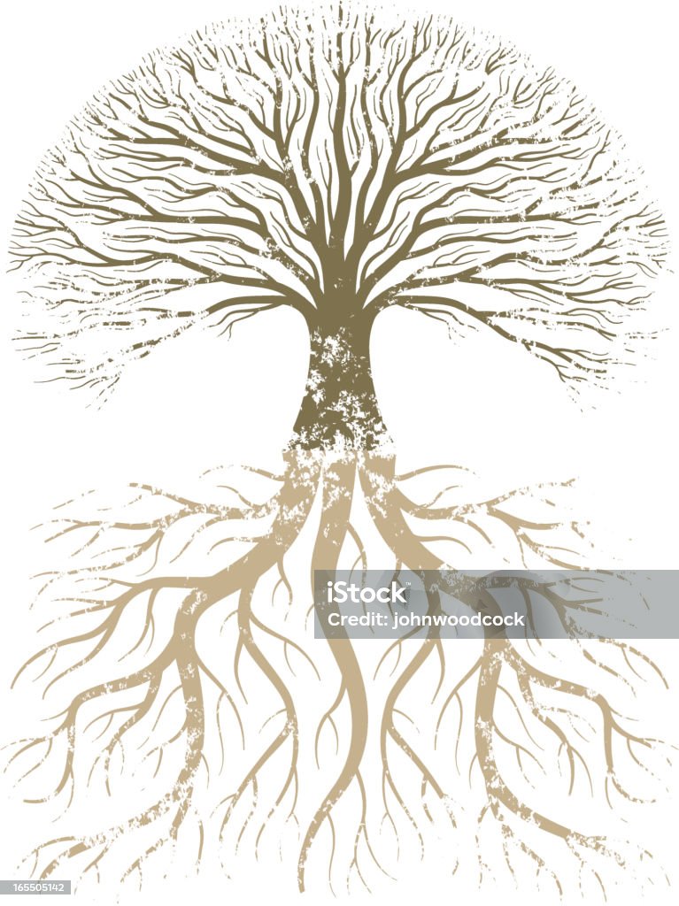 Cartoon Light Grey Tree Roots Grunge Tree And Roots Stock Illustration - Download Image Now - Family ...