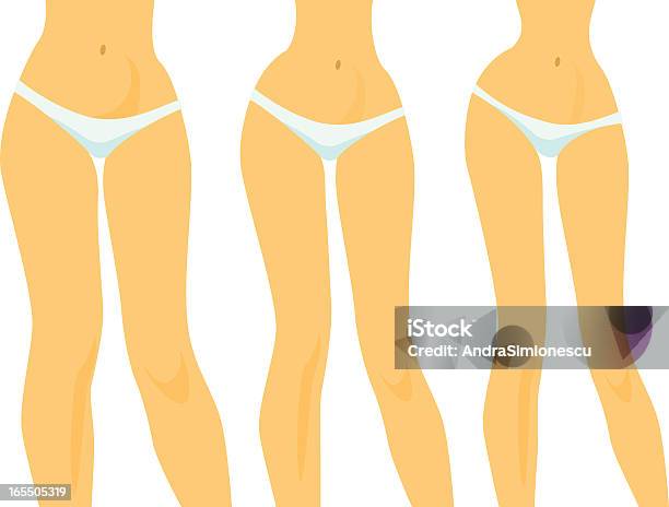 Weightloss - Arte vetorial de stock e mais imagens de Adulto - Adulto, Autoconfiança, Beleza
