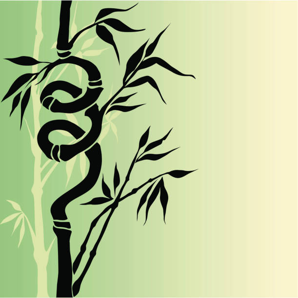 Oriental background background with bamboo silhouette. bamboo twist stock illustrations