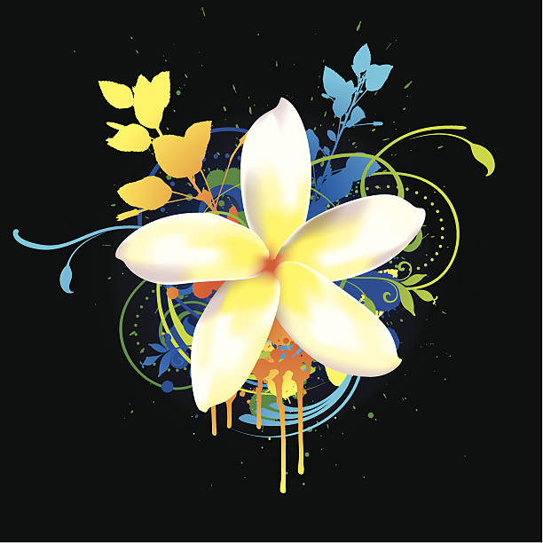 illustrazioni stock, clip art, cartoni animati e icone di tendenza di fiore tropicale - spirulina pacifica illustrations