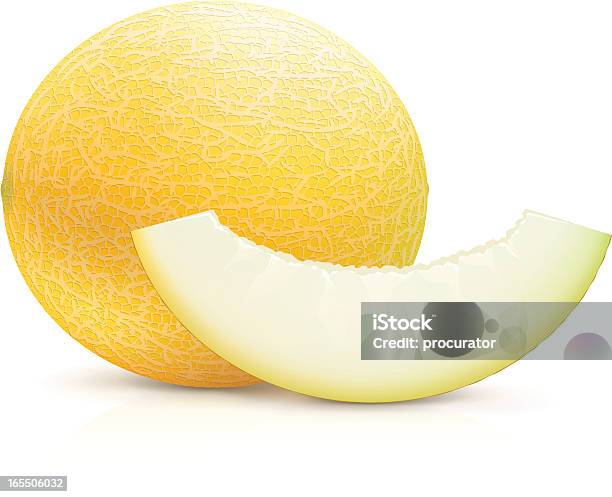 Melon Stock Illustration - Download Image Now - Cantaloupe, Melon, Cartoon