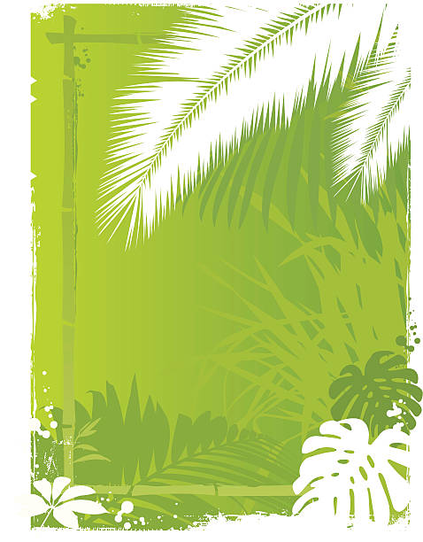 tropic palm background vector art illustration