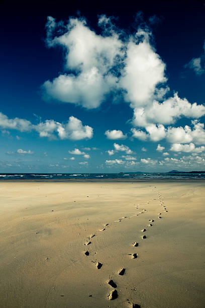 Lonely beach stock photo