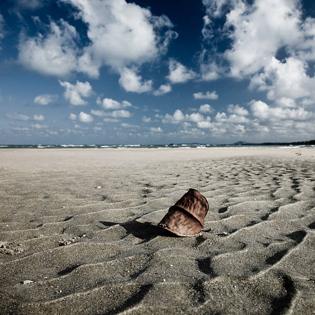 Lonely beach stock photo