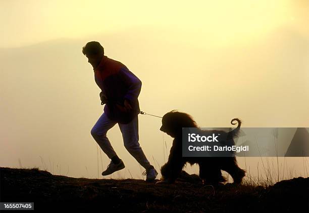 Animali Cani Afgano Hound Con Un Uomo - Fotografie stock e altre immagini di Correre - Correre, Levriero afgano, Animale