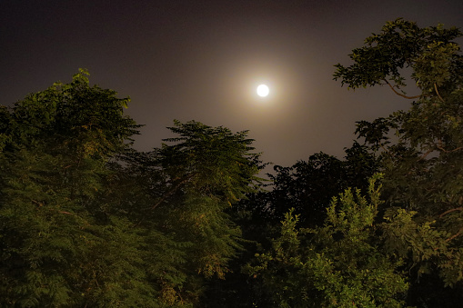 The moon looks lovely over the park at night, shining with a soft, silver light and making the park even more beautiful. It adds a magical touch to the peaceful scene in the park.