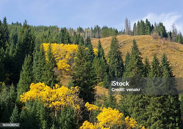 Photo libre de droit de Automne Panorama De Montagnes banque d'images et plus d'images libres de droit de Allemagne - Allemagne, Alpes européennes, Arbre