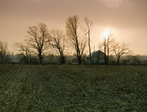 Farm Field in Snow Squall, Stormy Sky. Winter rural scene.