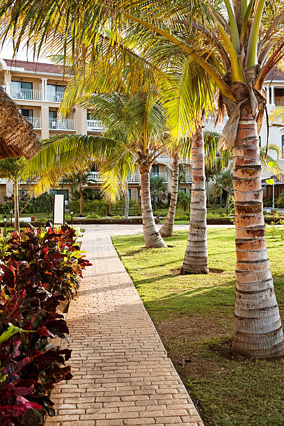 istock Idyllic Tropical Resort, Vacation, Fun in the Sun 165509840