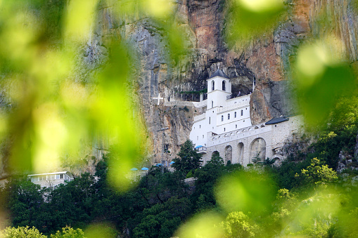 Ostrog Monastery in Danilovgrad, Montenegro, photographed through a treetop.