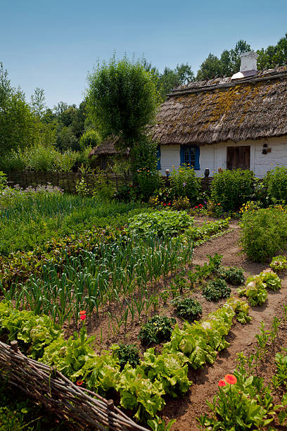Vegetable Garden - Permaculture stock photo