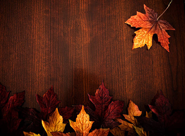 Traditional Holiday Background, Thanksgiving