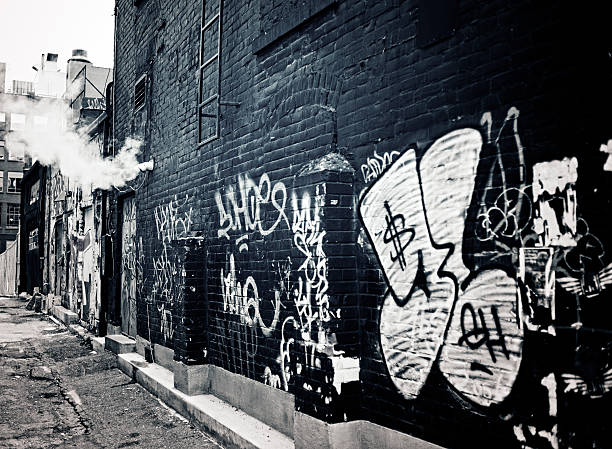 istock Urban Alley, Graffiti Wall and Steam Vent 165510760
