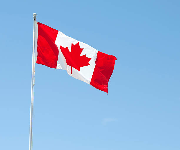 istock A red and white Canadian flag blows in the wind 165510781