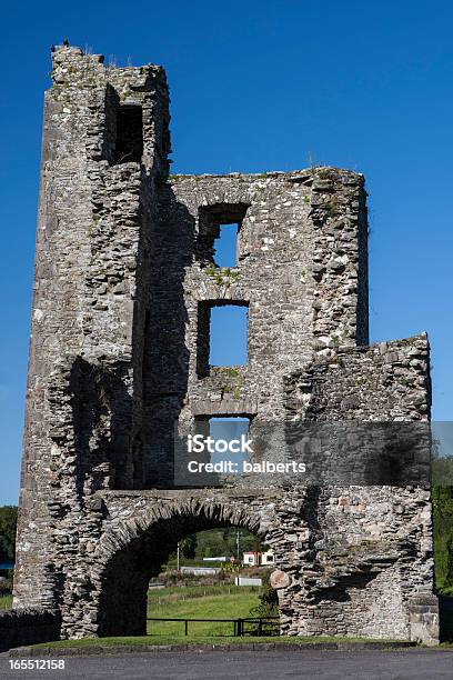 Mellifont Abbey - Fotografie stock e altre immagini di Abbazia - Abbazia, Antico - Condizione, Blu