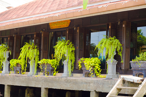 Patio of ณ คิดถึง คาเฟ่ Na kidthung Cafe at river in Amphawa in outer area of old town and floating market area. Bungalow styled old wooden building with plant decor in front of windows. At right side are old steps down into river. View from river level