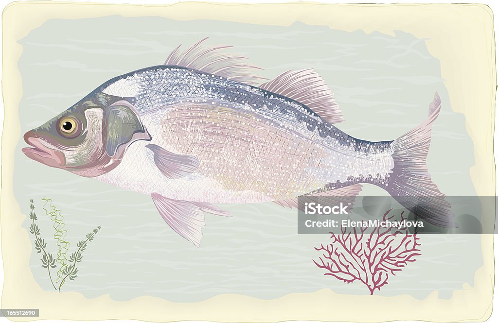 Loup de mer - clipart vectoriel de Aliment libre de droits