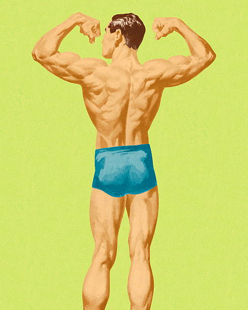 근육질의 남성 등근육 - flexing muscles illustrations stock illustrations