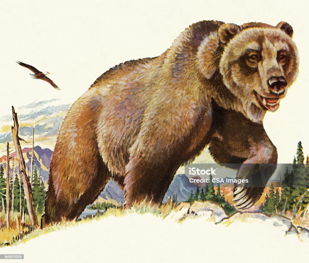 Grizzly Bear Grizzly Bear stock illustration