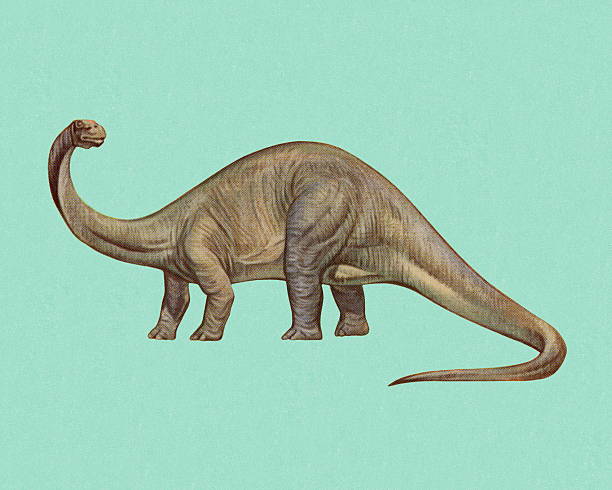 brontosaurus - color image colored background blue background animal stock-grafiken, -clipart, -cartoons und -symbole
