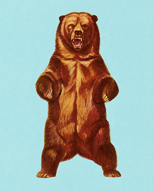 медведь гризли - медведь иллюстрации stock illustrations