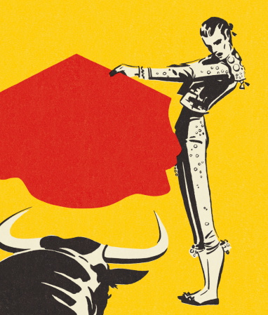 Matador and a Bull