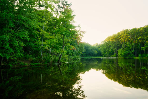 istock Green Lake Paradise 1655177195