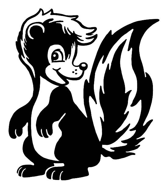 милый скунс - skunk stock illustrations