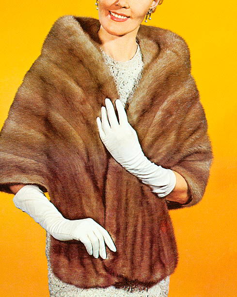 Woman Wearing a Fur Stole Woman Wearing a Fur Stole mink fur stock illustrations