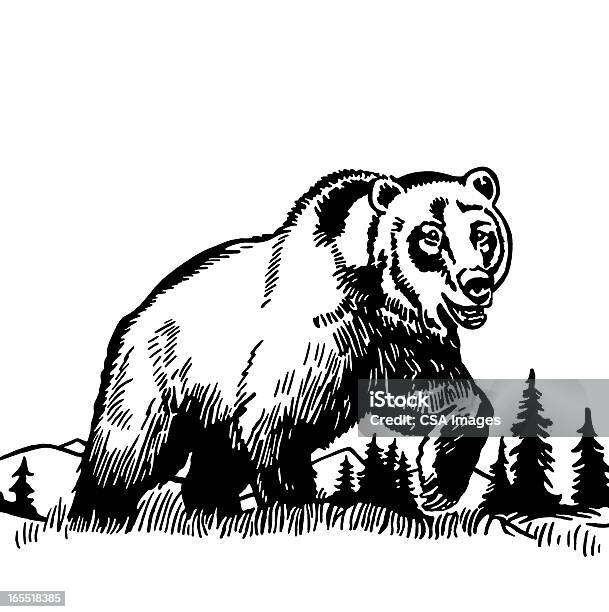 大きなグリズリーベア - ハイイログマのベクターアート素材や画像を多数ご用意 - ハイイログマ, クマ, 自然の景観