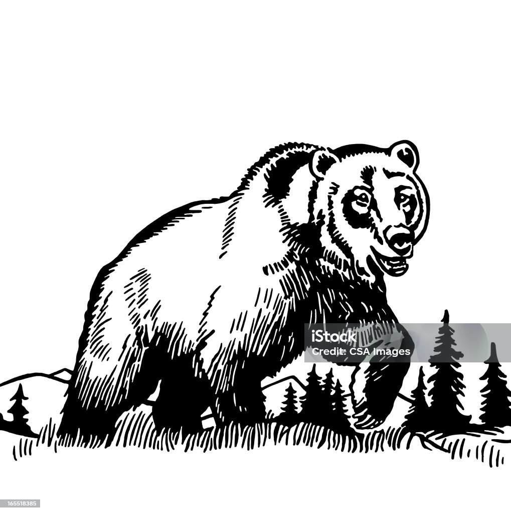 Большой медведь гризли - Стоковые иллюстрации Гризли роялти-фри
