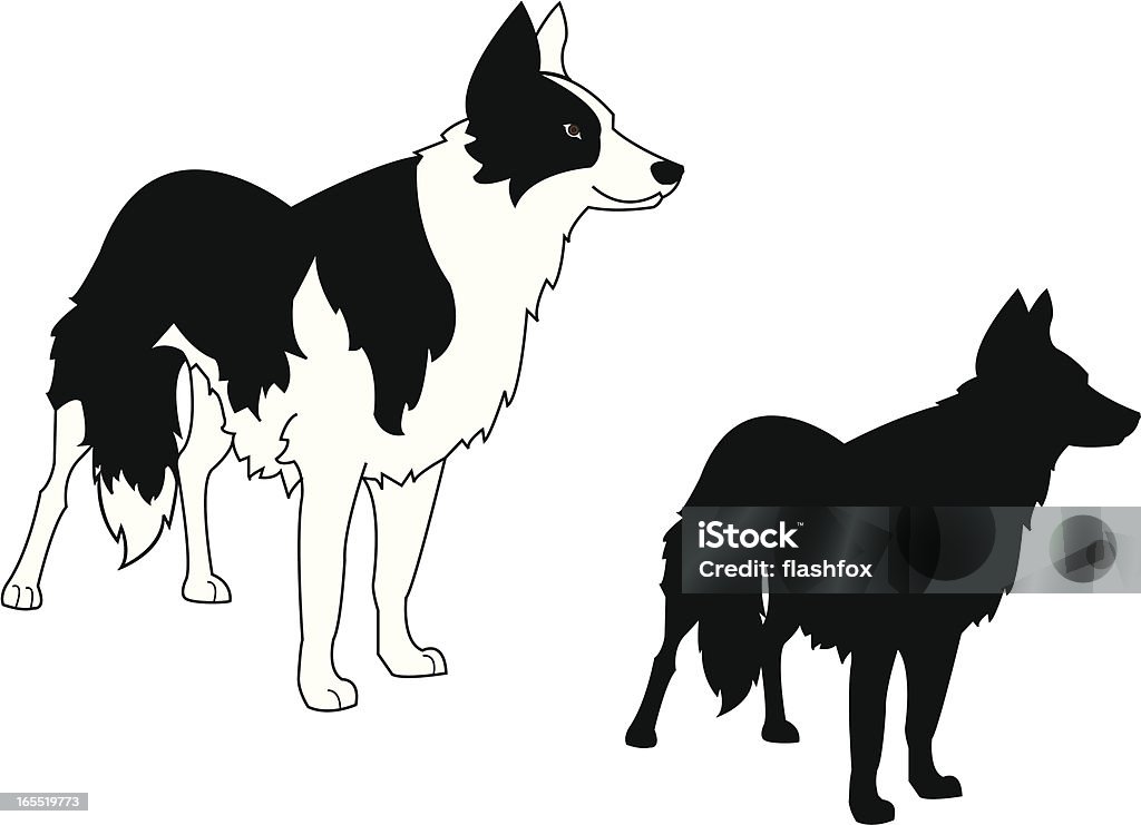 Border Collie Standing and Silhouette Border Collie stock vector