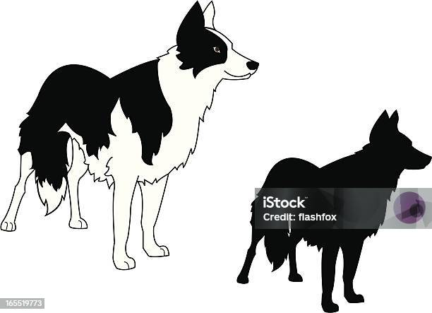 Border Collie Standing And Silhouette Stock Illustration - Download Image Now - Border Collie, In Silhouette, Black And White
