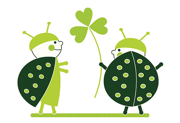 Dwa ladybirds pogratulować innych z St.Patrick's day – artystyczna grafika wektorowa