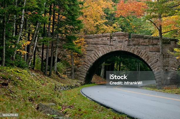 Stone Bridge En Parque Nacional De Acadia Foto de stock y más banco de imágenes de Aire libre - Aire libre, Fotografía - Imágenes, Hoja