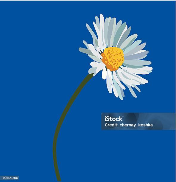 Kamille Stock Vektor Art und mehr Bilder von Blau - Blau, Blume, Blütenblatt