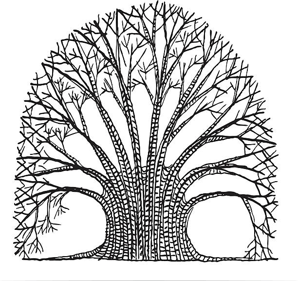 Árbol - ilustración de arte vectorial