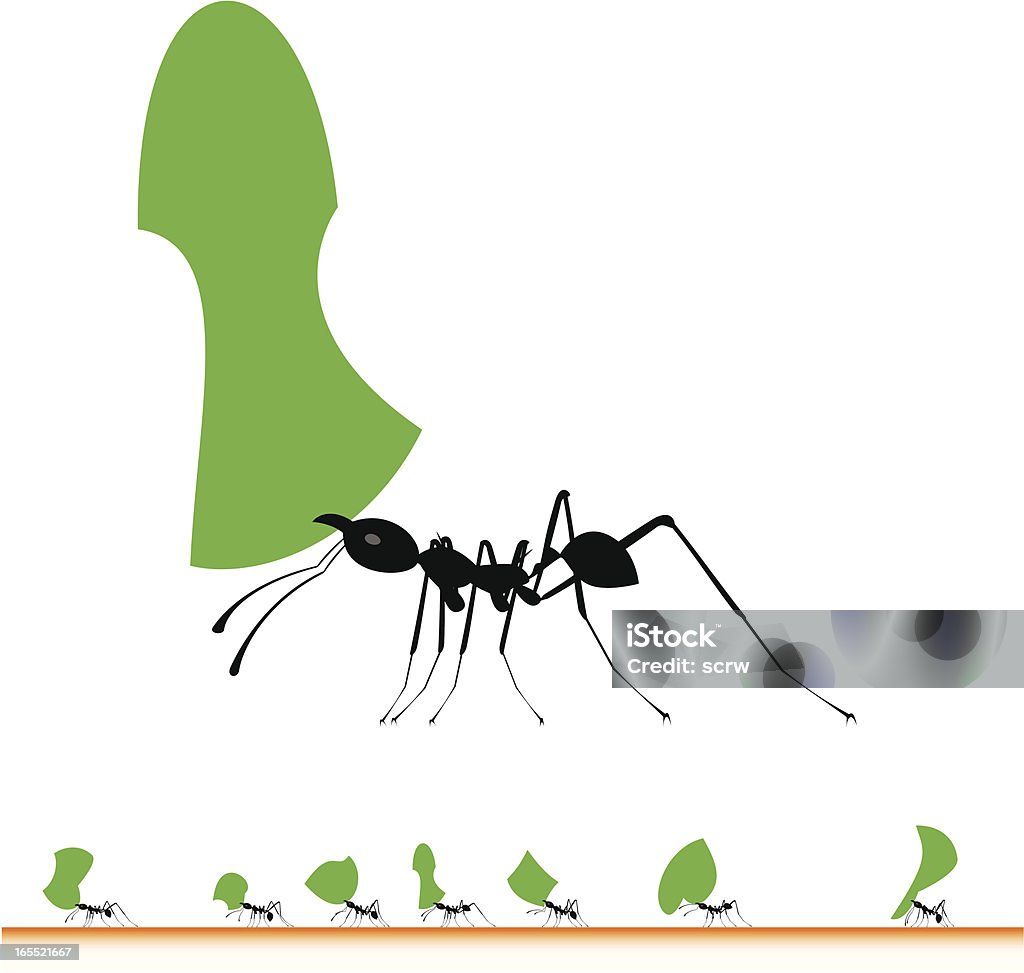 Cortador de folha marching ants - Vetor de Formiga royalty-free